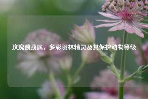 玫瑰鹦鹉属，多彩羽林精灵及其保护动物等级