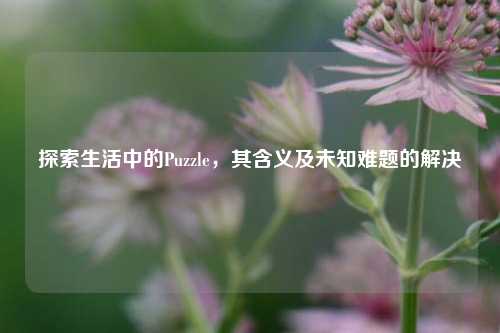探索生活中的Puzzle，其含义及未知难题的解决