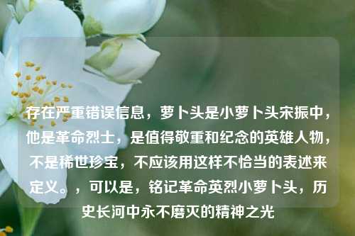 存在严重错误信息，萝卜头是小萝卜头宋振中，他是革命烈士，是值得敬重和纪念的英雄人物，不是稀世珍宝，不应该用这样不恰当的表述来定义。，可以是，铭记革命英烈小萝卜头，历史长河中永不磨灭的精神之光