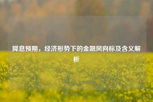 降息预期，经济形势下的金融风向标及含义解析