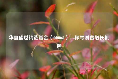 华夏盛世精选基金（000061），探寻财富增长机遇