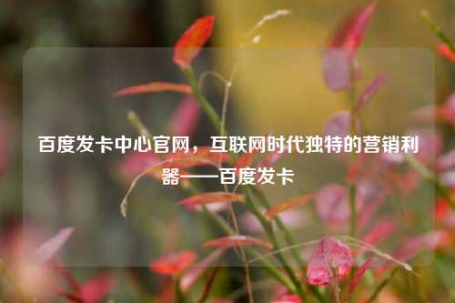 百度发卡中心官网，互联网时代独特的营销利器——百度发卡