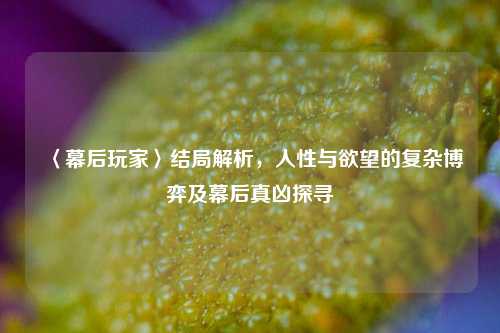 〈幕后玩家〉结局解析，人性与欲望的复杂博弈及幕后真凶探寻
