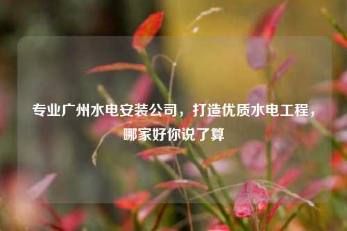 专业广州水电安装公司，打造优质水电工程，哪家好你说了算
