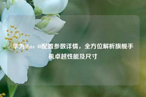 华为Mate 40配置参数详情，全方位解析旗舰手机卓越性能及尺寸
