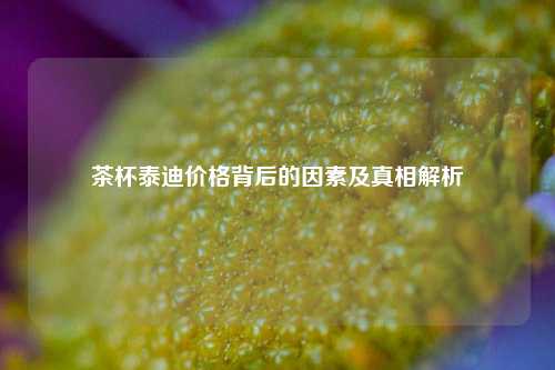 茶杯泰迪价格背后的因素及真相解析