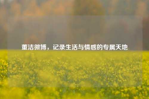 董洁微博，记录生活与情感的专属天地