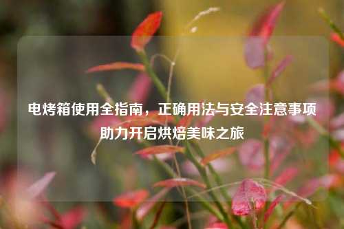 电烤箱使用全指南，正确用法与安全注意事项助力开启烘焙美味之旅