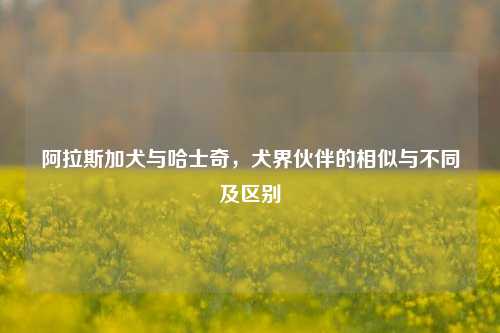 阿拉斯加犬与哈士奇，犬界伙伴的相似与不同及区别