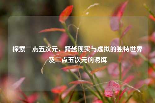 探索二点五次元，跨越现实与虚拟的独特世界及二点五次元的诱饵
