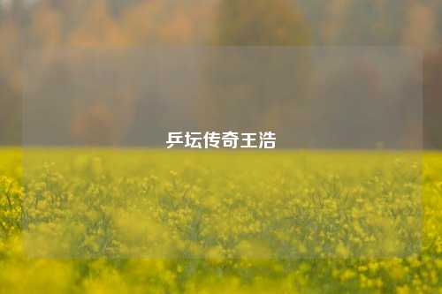 乒坛传奇王浩