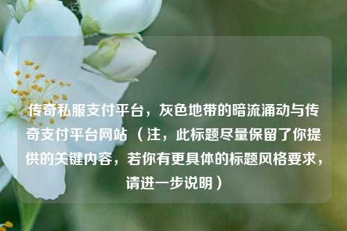 传奇私服支付平台,灰色地带的暗流涌动与传奇支付平台网站 (注,此标题尽量保留了你提供的关键内容,若你有更具体的标题风格要求,请进一步说明)