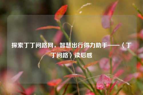 探索丁丁问路网,智慧出行得力助手——〈丁丁问路〉读后感
