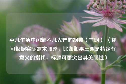 平凡生活中闪耀不凡光芒的胡帅（三明） （你可根据实际需求调整，比如如果三明是特定有意义的指代，标题可更突出其关联性）