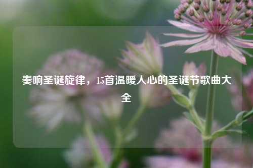 奏响圣诞旋律，15首温暖人心的圣诞节歌曲大全