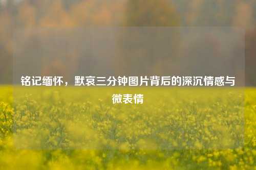 铭记缅怀，默哀三分钟图片背后的深沉情感与微表情