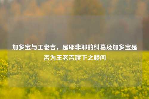 加多宝与王老吉，是耶非耶的纠葛及加多宝是否为王老吉旗下之疑问