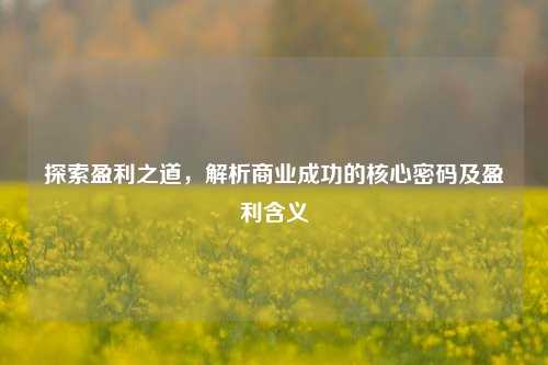 探索盈利之道，解析商业成功的核心密码及盈利含义