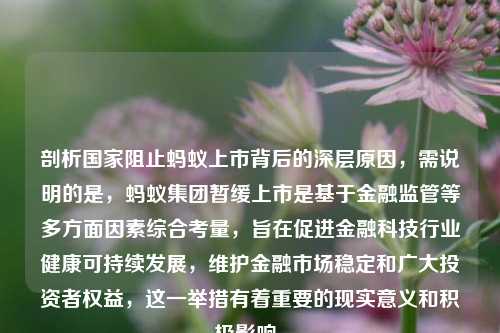 剖析国家阻止蚂蚁上市背后的深层原因，需说明的是，蚂蚁集团暂缓上市是基于金融监管等多方面因素综合考量，旨在促进金融科技行业健康可持续发展，维护金融市场稳定和广大投资者权益，这一举措有着重要的现实意义和积极影响。