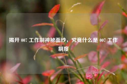 揭开 007 工作制神秘面纱，究竟什么是 007 工作制度