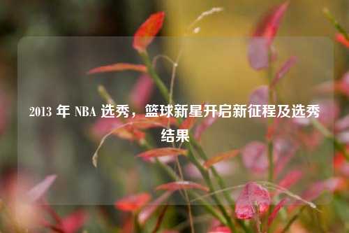 2013 年 NBA 选秀，篮球新星开启新征程及选秀结果