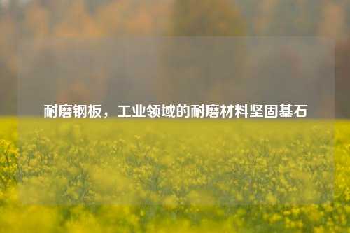 耐磨钢板,工业领域的耐磨材料坚固基石