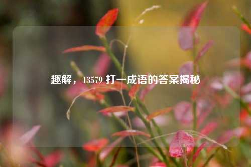 趣解,13579 打一成语的答案揭秘