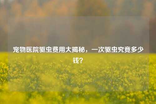 宠物医院驱虫费用大揭秘,一次驱虫究竟多少钱?