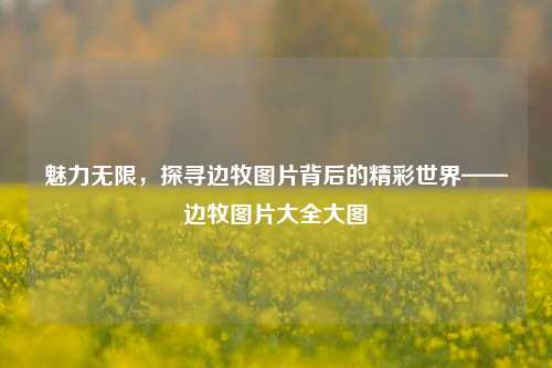 魅力无限，探寻边牧图片背后的精彩世界——边牧图片大全大图