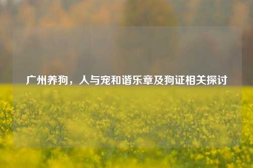 广州养狗，人与宠和谐乐章及狗证相关探讨