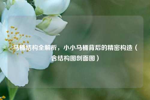 马桶结构全解析，小小马桶背后的精密构造（含结构图剖面图）