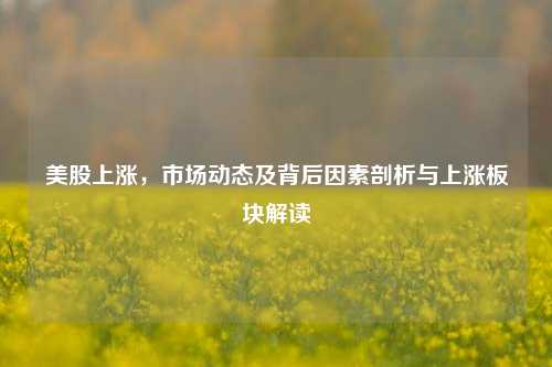 美股上涨，市场动态及背后因素剖析与上涨板块解读