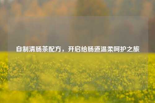 自制清肠茶配方，开启给肠道温柔呵护之旅