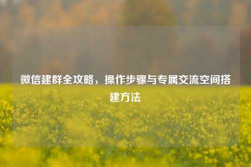 微信建群全攻略，操作步骤与专属交流空间搭建方法