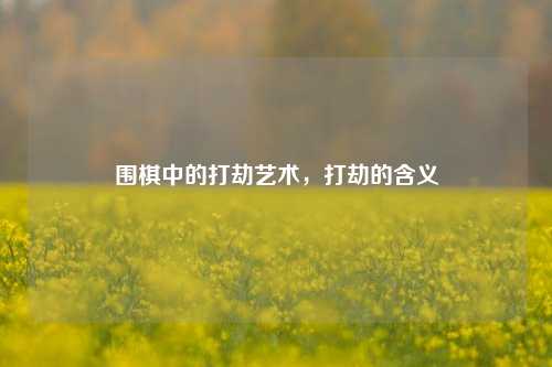 围棋中的打劫艺术，打劫的含义