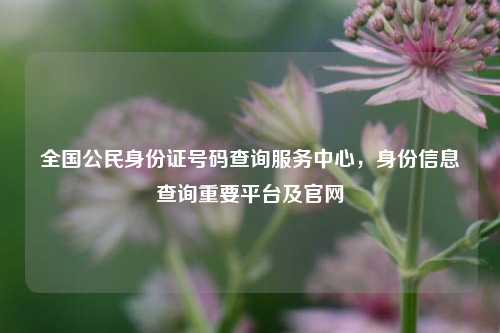 全国公民身份证号码查询服务中心，身份信息查询重要平台及官网