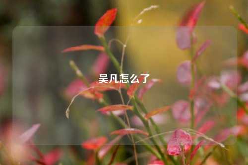 吴凡怎么了