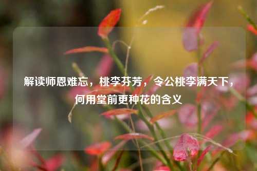 解读师恩难忘,桃李芬芳,令公桃李满天下,何用堂前更种花的含义
