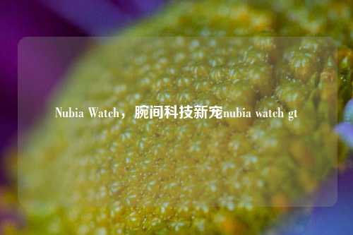 Nubia Watch，腕间科技新宠nubia watch gt