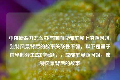 中院墙裂开怎么办与前面成都车展上的渔网姐，独特风景背后的故事关联性不强，以下是基于前半部分生成的标题，，成都车展渔网姐，独特风景背后的故事