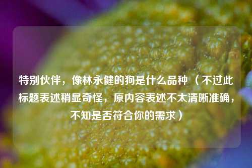 特别伙伴，像林永健的狗是什么品种 （不过此标题表述稍显奇怪，原内容表述不太清晰准确，不知是否符合你的需求）