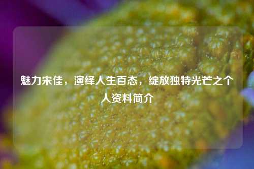 魅力宋佳，演绎人生百态，绽放独特光芒之个人资料简介