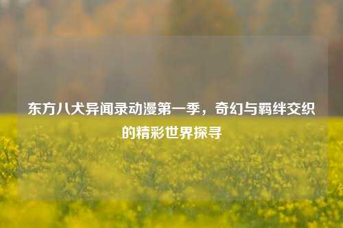 东方八犬异闻录动漫第一季，奇幻与羁绊交织的精彩世界探寻