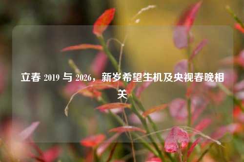立春 2019 与 2026，新岁希望生机及央视春晚相关