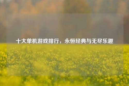 十大单机游戏排行，永恒经典与无尽乐趣
