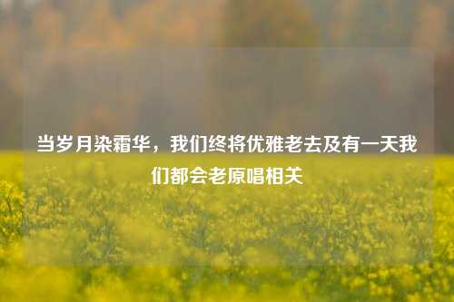 当岁月染霜华，我们终将优雅老去及有一天我们都会老原唱相关