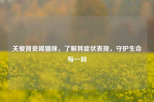 关爱肾衰竭猫咪，了解其症状表现，守护生命每一刻