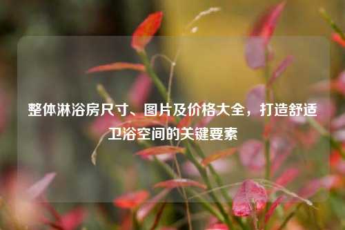 整体淋浴房尺寸、图片及价格大全，打造舒适卫浴空间的关键要素
