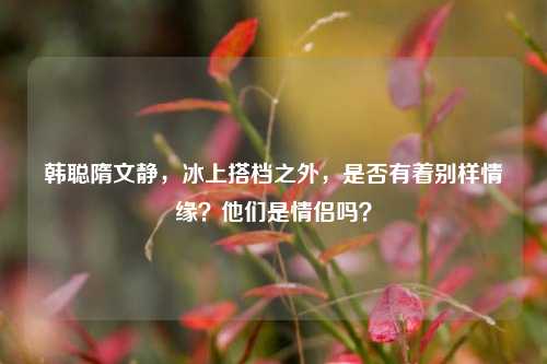 韩聪隋文静，冰上搭档之外，是否有着别样情缘？他们是情侣吗？