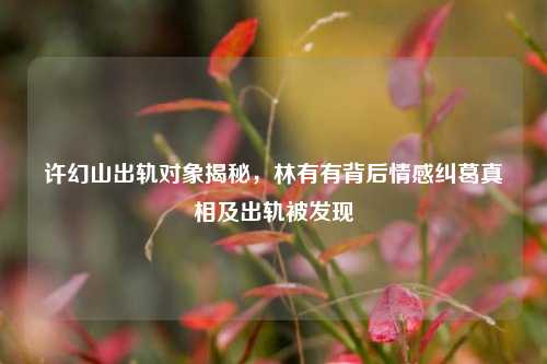 许幻山出轨对象揭秘，林有有背后情感纠葛真相及出轨被发现